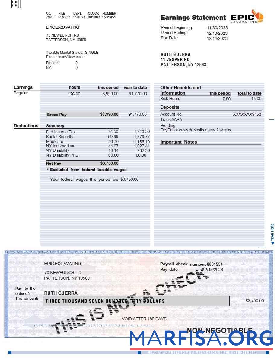 Printable EPIC excavating earnings statement download for verification